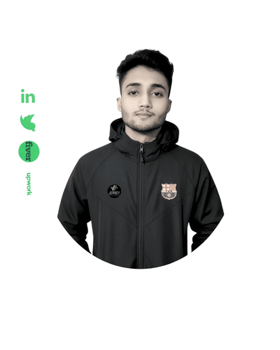 SEO services including local SEO, GMB optimization, backlink building, and on-page SEO by Hasib Islam